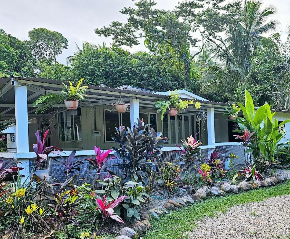 Villa Alena Star House, Eco Retreat With Pool, Prime Position Cape Tribulation Exterior foto