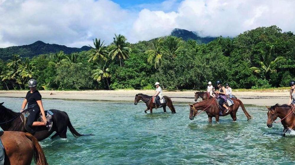 Villa Alena Star House, Eco Retreat With Pool, Prime Position Cape Tribulation Exterior foto